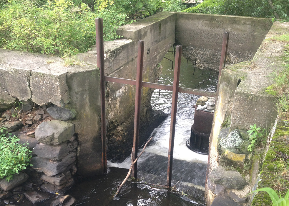 Bartlett Pond Dam Removal