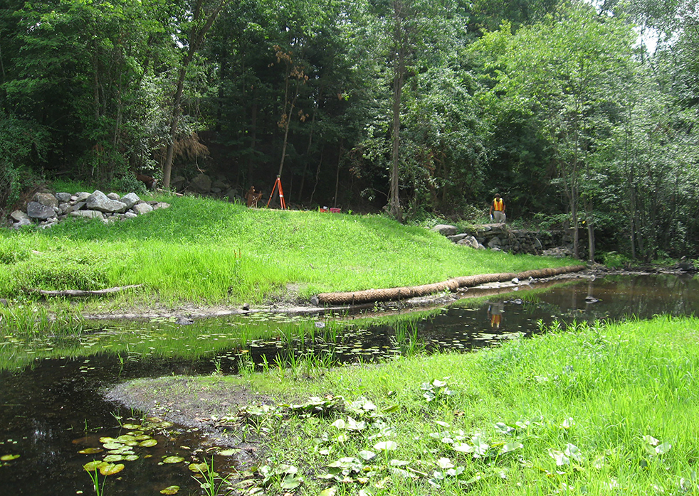 Curtis Pond Dam Removal