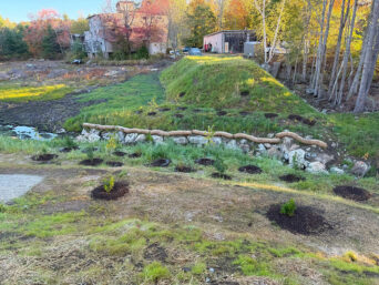 Whitney Pond Dam Removal