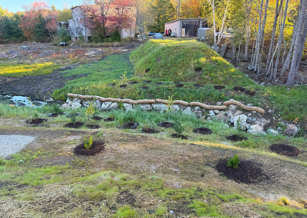 Whitney Pond Dam Removal