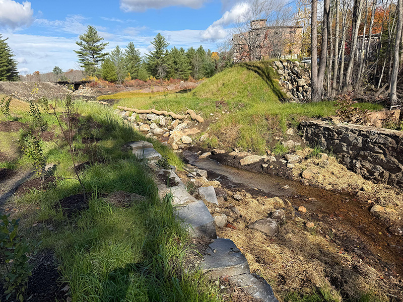Whitney Pond Dam Removal